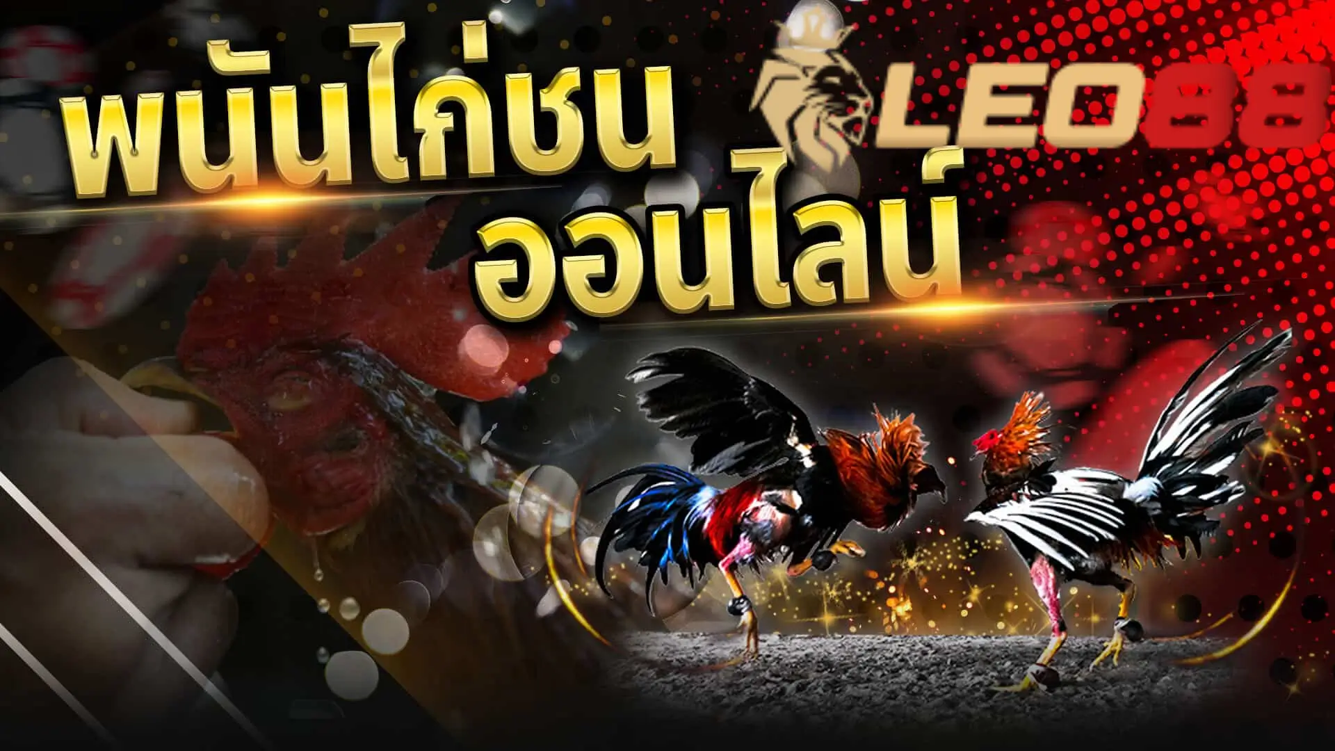 บทวิเคราะห์ประวัติศาสตร์: จากสนามไก่ชนในหมู่บ้านสู่โลกออนไลน์